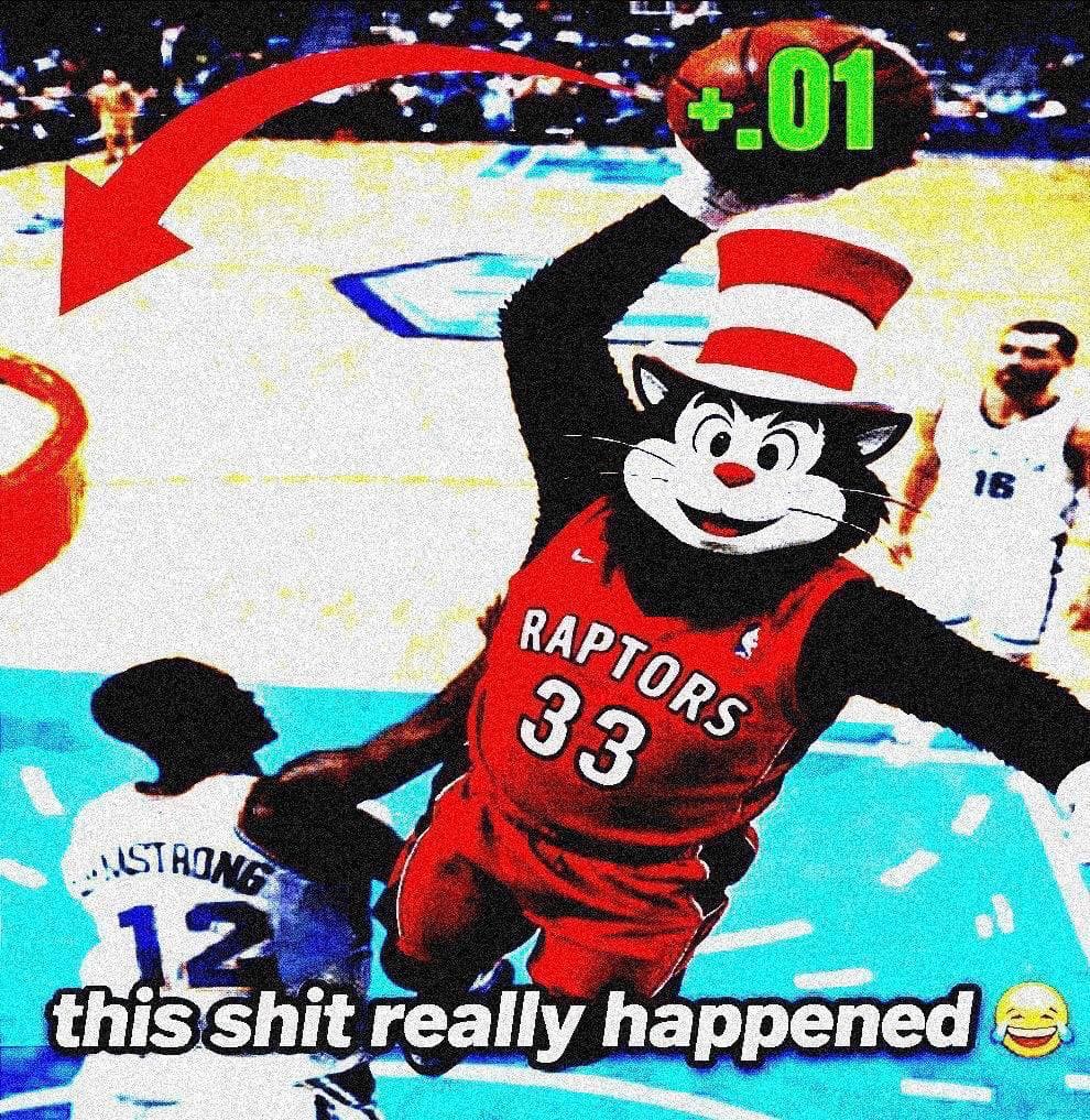 Cat meme 1