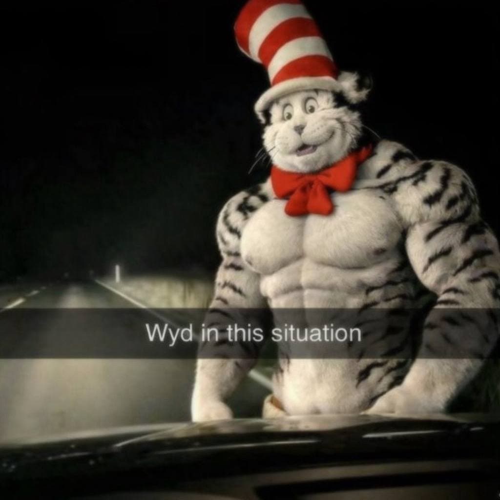 Cat meme 11