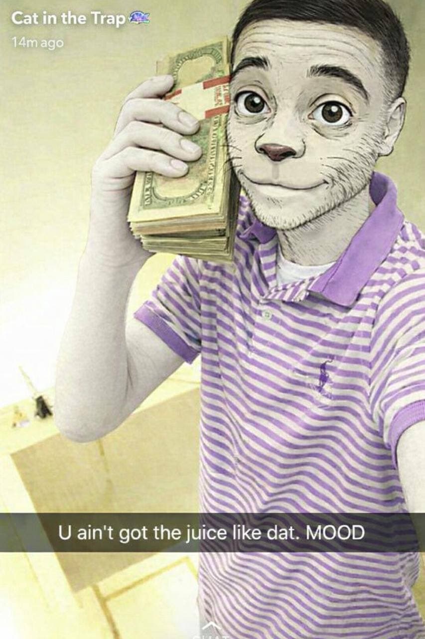 Cat meme 17