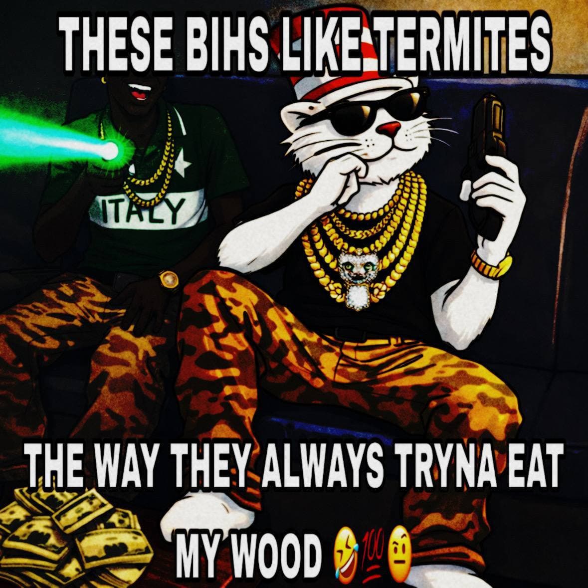 Cat meme 7